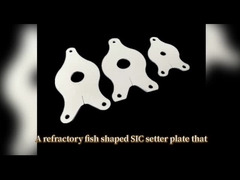 Placa de fixação Sic de alta temperatura